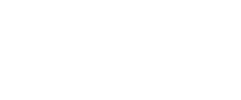 NoVi Holding